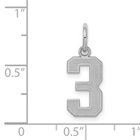 Sterling Silver Rhodium-plated Satin Number 3 Charm view 3