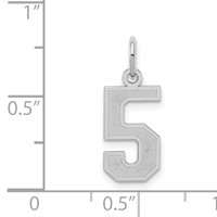 Sterling Silver Rhodium-plated Satin Number 5 Charm view 3