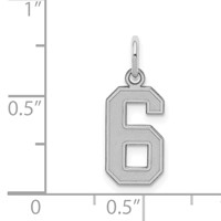 Sterling Silver Rhodium-plated Satin Number 6 Charm view 3