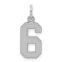 Sterling Silver Rhodium-plated Satin Number 6 Charm view 1