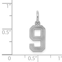 Sterling Silver Rhodium-plated Satin Number 9 Charm view 3