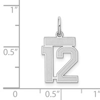 Sterling Silver Rhodium-plated Satin Number 12 Charm view 3