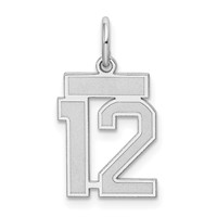 Sterling Silver Rhodium-plated Satin Number 12 Charm view 1