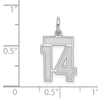 Sterling Silver Rhodium-plated Satin Number 14 Charm view 3