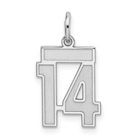 Sterling Silver Rhodium-plated Satin Number 14 Charm view 1