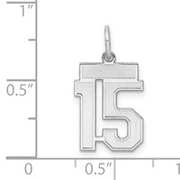 Sterling Silver Rhodium-plated Satin Number 15 Charm view 3