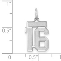 Sterling Silver Rhodium-plated Satin Number 16 Charm view 3