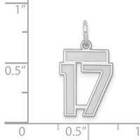 Sterling Silver Rhodium-plated Satin Number 17 Charm view 3