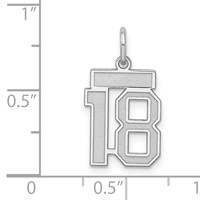 Sterling Silver Rhodium-plated Satin Number 18 Charm view 3