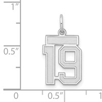Sterling Silver Rhodium-plated Satin Number 19 Charm view 3