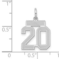 Sterling Silver Rhodium-plated Satin Number 20 Charm view 3