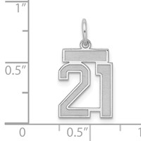 Sterling Silver Rhodium-plated Satin Number 21 Charm view 3