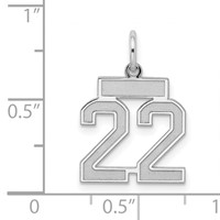 Sterling Silver Rhodium-plated Satin Number 22 Charm view 3