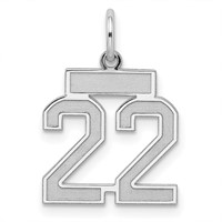 Sterling Silver Rhodium-plated Satin Number 22 Charm view 1