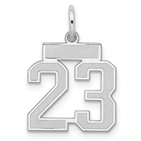 Sterling Silver Rhodium-plated Satin Number 23 Charm view 1