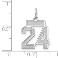 Sterling Silver Rhodium-plated Satin Number 24 Charm view 3