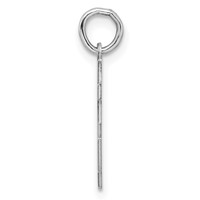 Sterling Silver Rhodium-plated Satin Number 25 Charm view 2