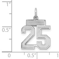 Sterling Silver Rhodium-plated Satin Number 25 Charm view 3