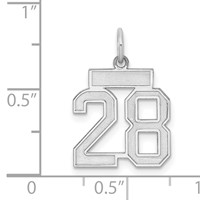 Sterling Silver Rhodium-plated Satin Number 28 Charm view 3