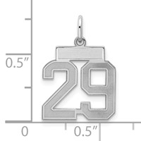 Sterling Silver Rhodium-plated Satin Number 29 Charm view 2