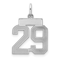 Sterling Silver Rhodium-plated Satin Number 29 Charm view 1