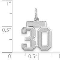 Sterling Silver Rhodium-plated Satin Number 30 Charm view 3