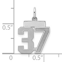 Sterling Silver Rhodium-plated Satin Number 37 Charm view 2