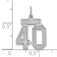 Sterling Silver Rhodium-plated Satin Number 40 Charm view 3