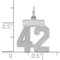 Sterling Silver Rhodium-plated Satin Number 42 Charm view 2