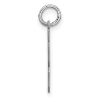 Sterling Silver Rhodium-plated Satin Number 43 Charm view 2