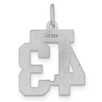 Sterling Silver Rhodium-plated Satin Number 43 Charm view 4