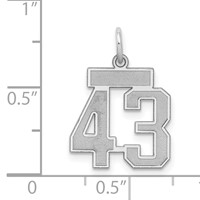 Sterling Silver Rhodium-plated Satin Number 43 Charm view 3