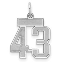 Sterling Silver Rhodium-plated Satin Number 43 Charm view 1