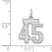 Sterling Silver Rhodium-plated Satin Number 45 Charm view 3