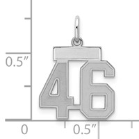 Sterling Silver Rhodium-plated Satin Number 46 Charm view 2