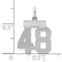 Sterling Silver Rhodium-plated Satin Number 48 Charm view 2