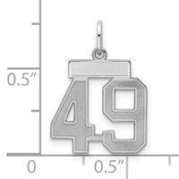 Sterling Silver Rhodium-plated Satin Number 49 Charm view 2