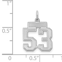 Sterling Silver Rhodium-plated Satin Number 53 Charm view 3