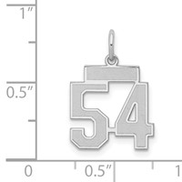 Sterling Silver Rhodium-plated Satin Number 54 Charm view 3