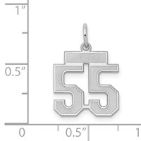 Sterling Silver Rhodium-plated Satin Number 55 Charm view 3