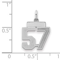 Sterling Silver Rhodium-plated Satin Number 57 Charm view 2