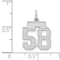 Sterling Silver Rhodium-plated Satin Number 58 Charm view 3