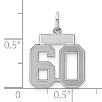 Sterling Silver Rhodium-plated Satin Number 60 Charm view 2