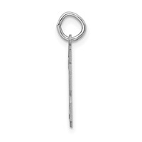 Sterling Silver Rhodium-plated Satin Number 73 Charm view 2