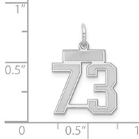 Sterling Silver Rhodium-plated Satin Number 73 Charm view 3