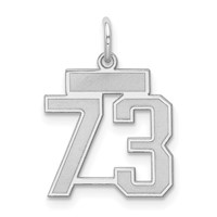 Sterling Silver Rhodium-plated Satin Number 73 Charm view 1