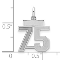 Sterling Silver Rhodium-plated Satin Number 75 Charm view 2