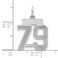 Sterling Silver Rhodium-plated Satin Number 79 Charm view 2