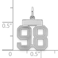 Sterling Silver Rhodium-plated Satin Number 98 Charm view 2