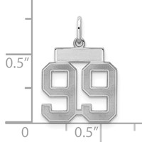Sterling Silver Rhodium-plated Satin Number 99 Charm view 2